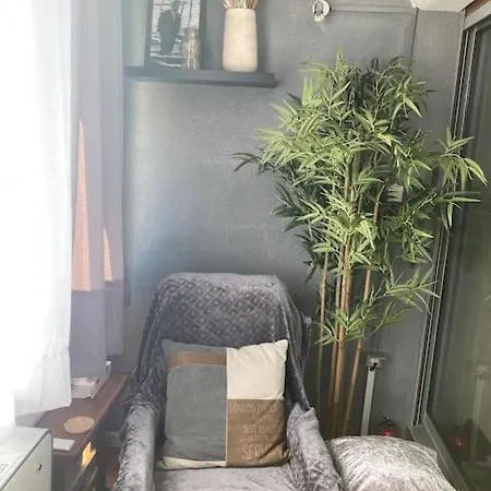 Studio-wifi,draps,clim Fixe,parking Prive