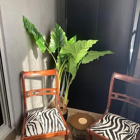 Studio-wifi,draps,clim Fixe,parking Prive Sète