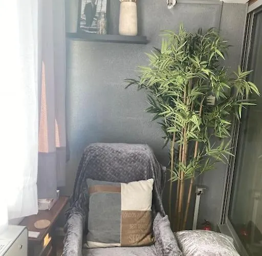 Studio-wifi,draps,clim Fixe,parking Prive